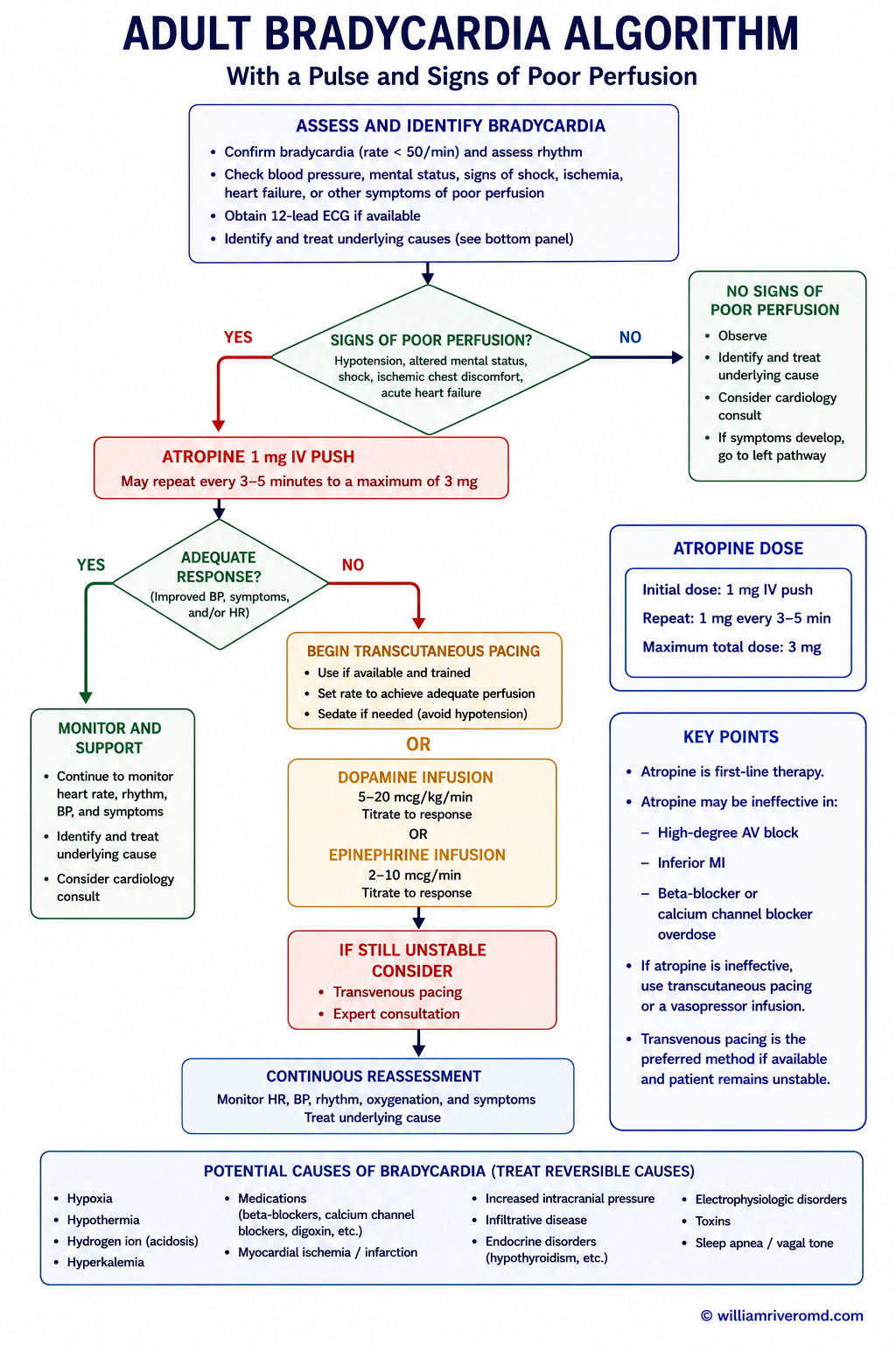Adult bradycardia algorithm — atropine, transcutaneous pacing, dopamine and epinephrine infusions for unstable bradycardia