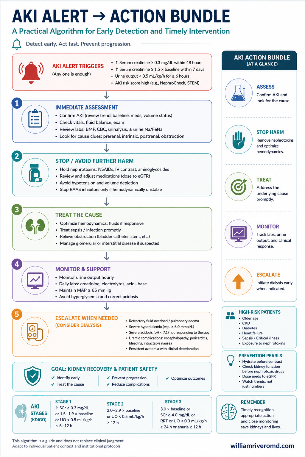 Five-step clinical-algorithm flowchart for an AI AKI alert turning into care: reassess perfusion and volume; review every nephrotoxin and contrast plan; recompute renally-cleared doses; set a fluid plan with a stop rule; document a 4-6 hour reassessment loop. A side panel lists honest caveats including approximately two false alerts per true alert at threshold, training-cohort sex skew, and the local PPV audit requirement.