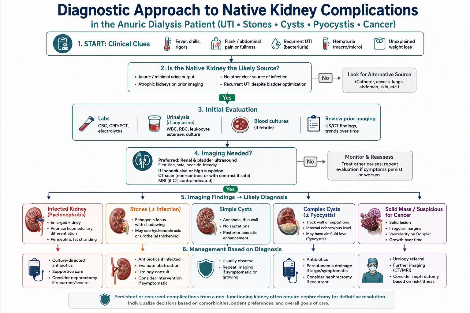 Four-step diagnostic flowchart for the febrile or symptomatic anuric dialysis patient — do not anchor on urinalysis, obtain catheterized culture, use bedside ultrasound and CT, and consider the urinary tract early in fever-of-unknown-origin workups.