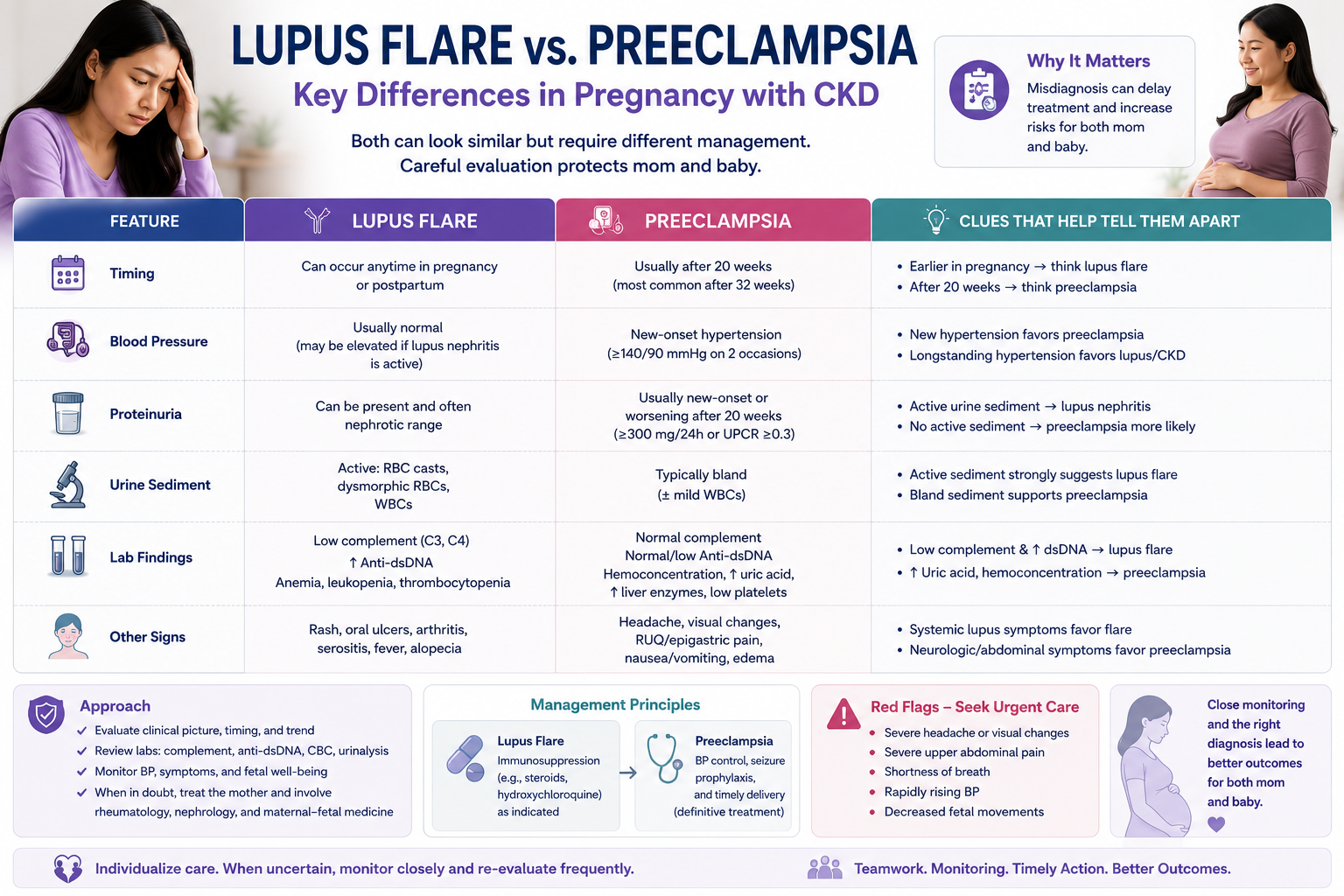 Side-by-side clinical comparison of lupus nephritis flare versus preeclampsia features — complement, anti-dsDNA, urine sediment, platelets, liver enzymes, uric acid