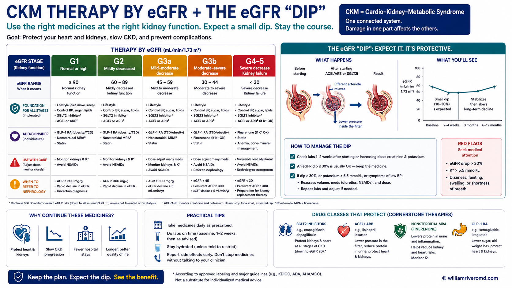 Clinical visual aid showing the expected acute eGFR dip after SGLT2 inhibitor and RAASi initiation followed by long-term renoprotective stabilization, with monitoring intervals