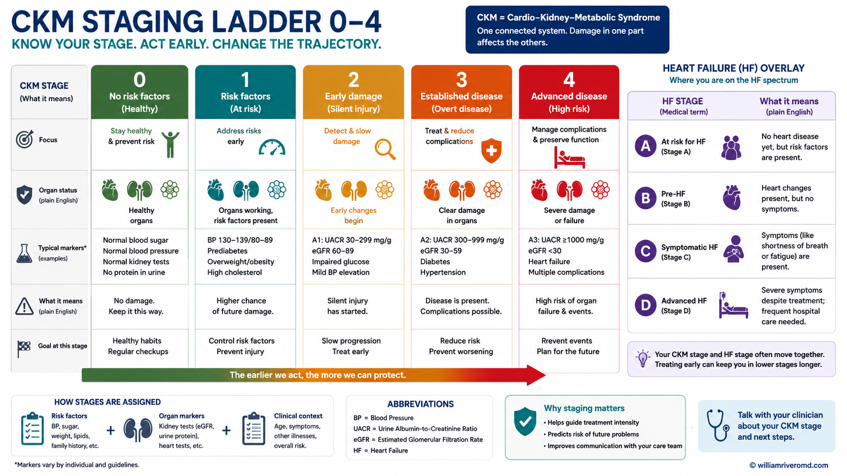 Ladder diagram of the five CKM stages from Stage 0 healthy to Stage 4 established cardiovascular disease with kidney and metabolic involvement