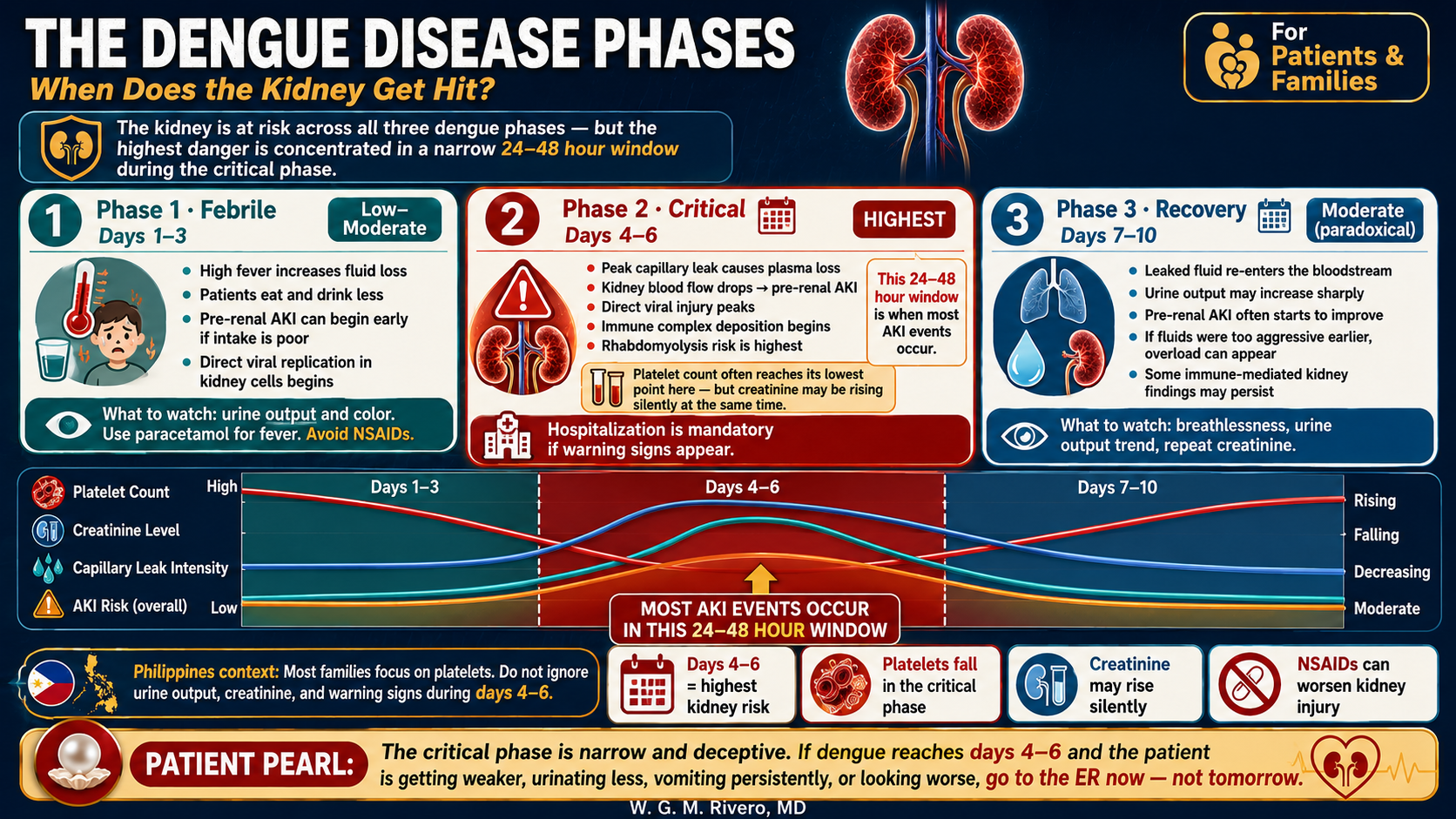 Three-phase dengue danger map — febrile, critical, and recovery phases with platelet and creatinine curves; AKI risk peaks in the 24–48 hour critical window · williamriveromd.com