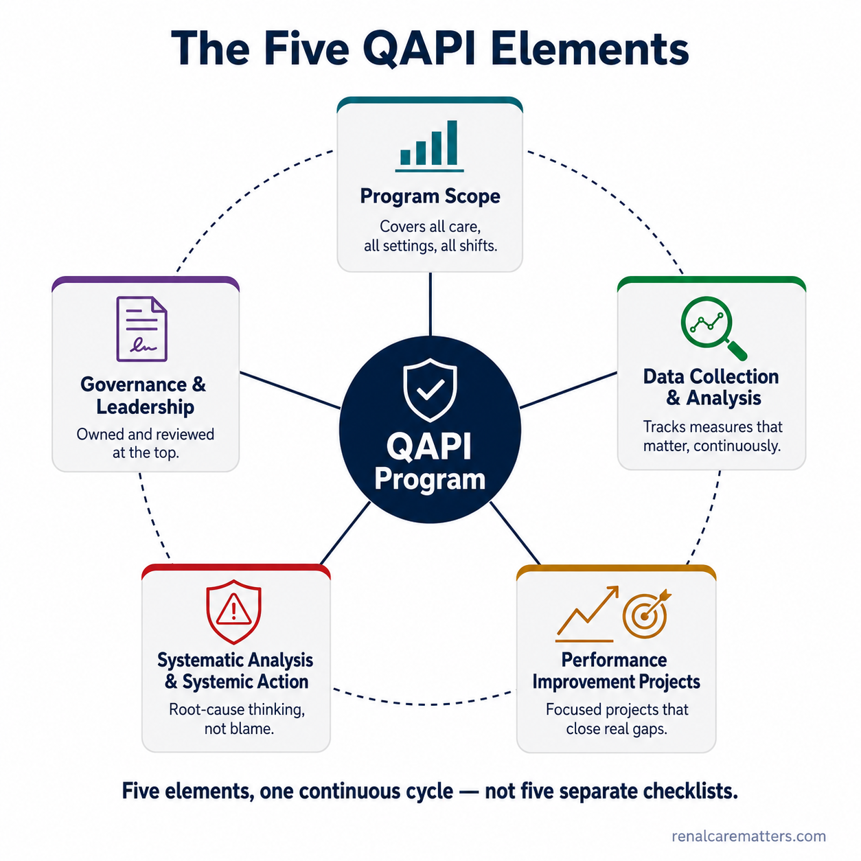 The five QAPI elements arranged as a wheel around a central QAPI Program hub — Program Scope, Data Collection & Analysis, Performance Improvement Projects, Systematic Analysis & Systemic Action, and Governance & Leadership