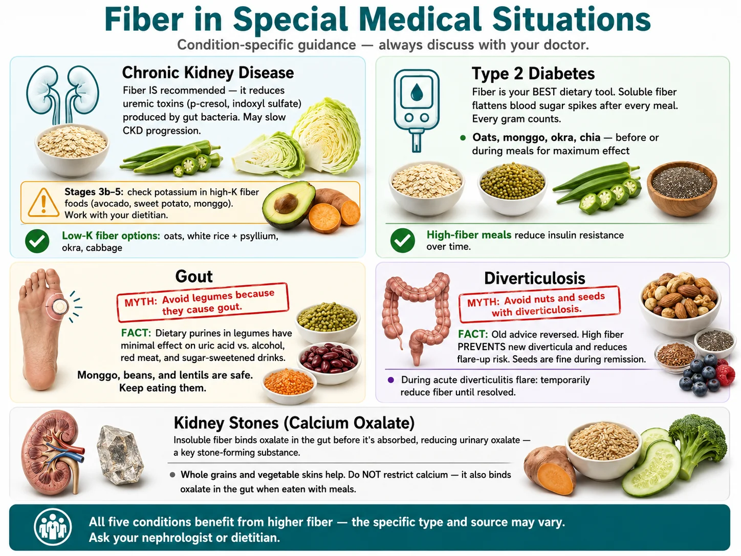 Reference card showing fiber guidance for five conditions: CKD, type 2 diabetes, gout, diverticulosis, and kidney stones, with myth-busting notes for gout and diverticulosis