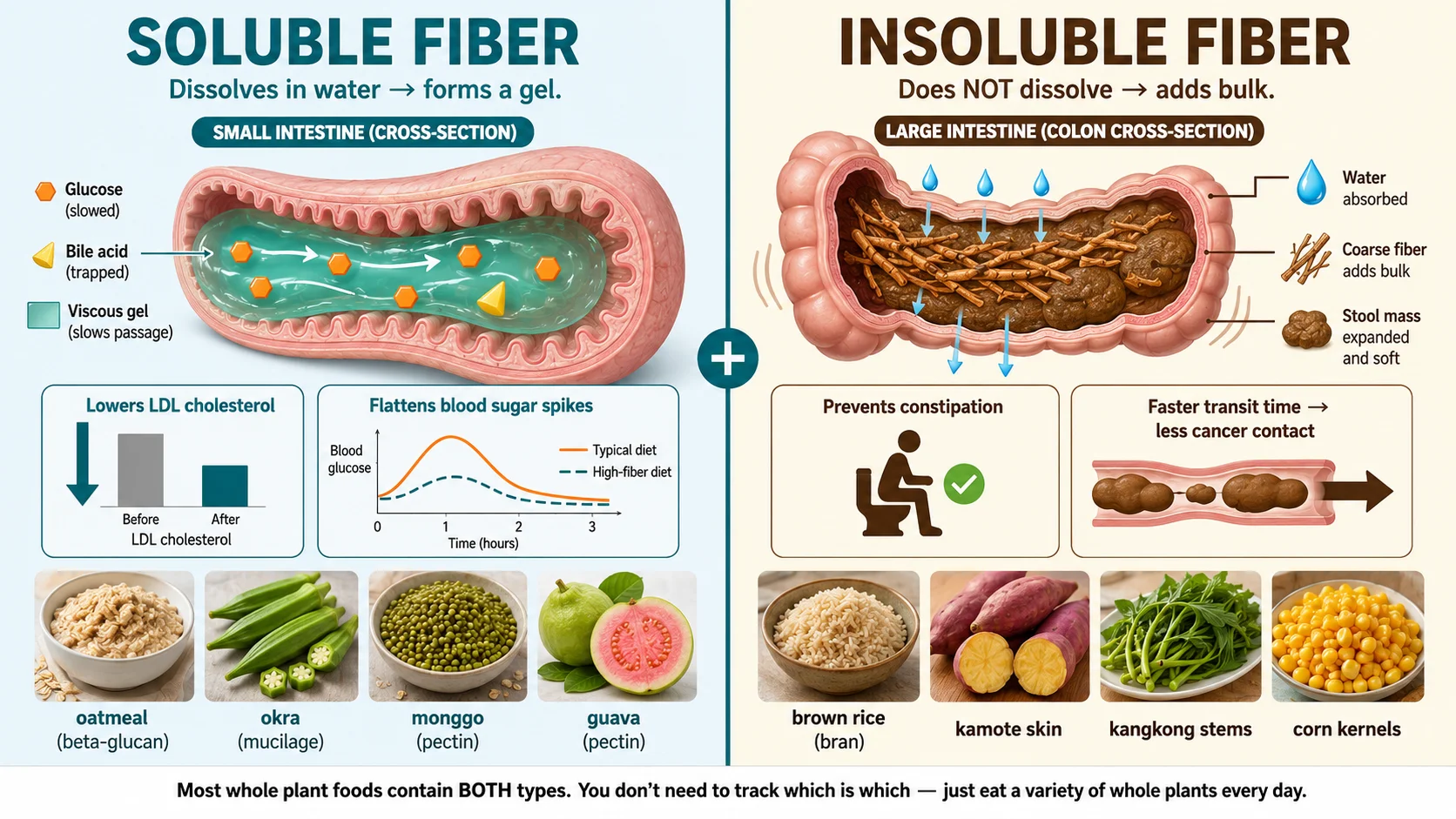 Side-by-side comparison of soluble fiber (forms a gel, lowers cholesterol and blood sugar) and insoluble fiber (adds bulk, prevents constipation), with Filipino food examples