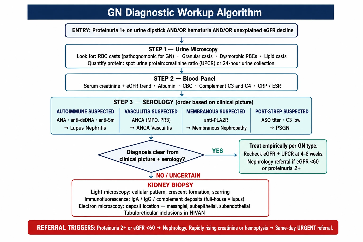 GN diagnostic workup algorithm — from urine dipstick through serology panel to kidney biopsy decision