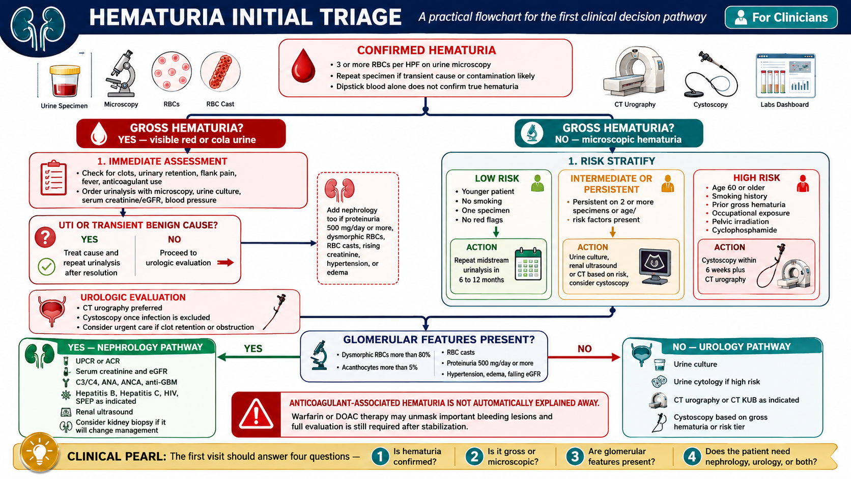 Hematuria initial triage flowchart — gross vs. microscopic bifurcation, risk stratification tiers, nephrology vs. urology pathway decision points, anticoagulant-associated hematuria caveat · williamriveromd.com