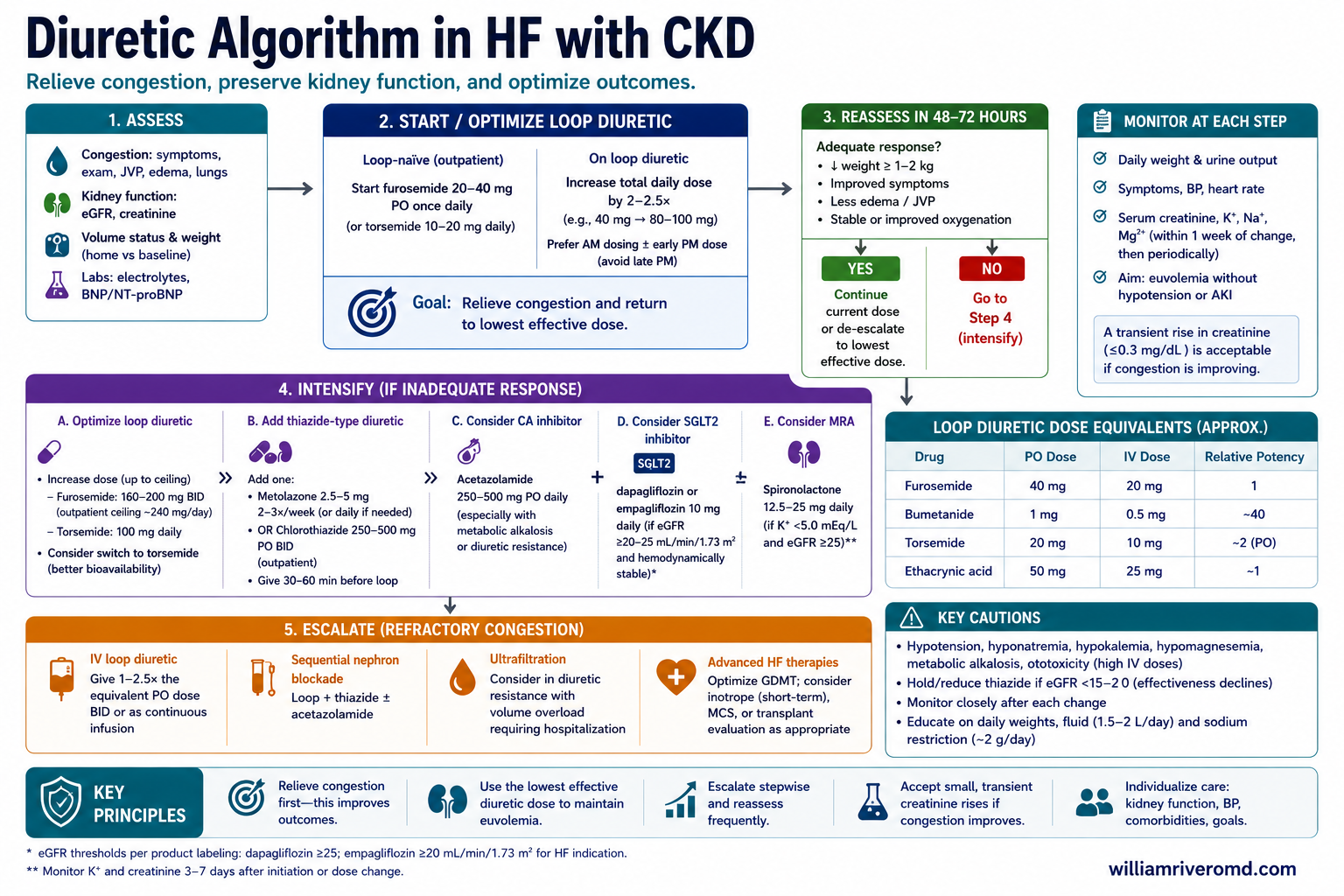 Clinical algorithm for decongestion in HF with reduced kidney function, with process-based response targets and escalation to ultrafiltration or peritoneal dialysis.