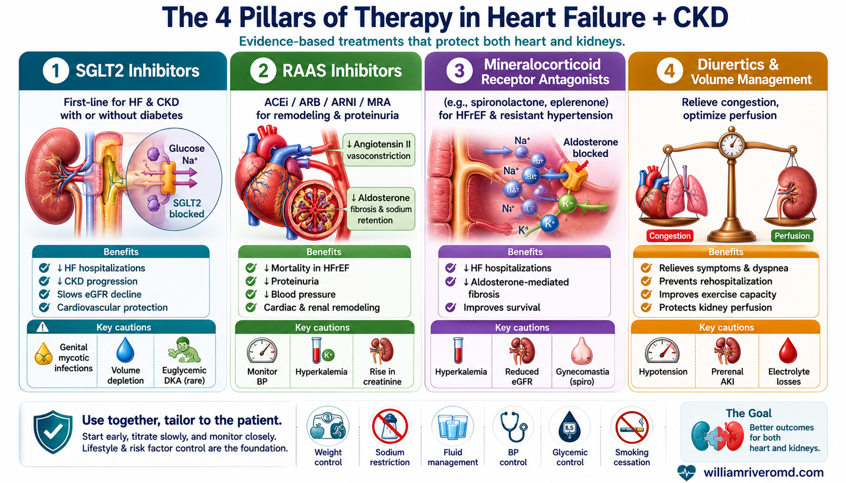 Clinician infographic of the four pillars of therapy in HF + CKD — SGLT2 inhibitors, RAAS inhibitors, mineralocorticoid receptor antagonists, and diuretics, with mechanisms, benefits and key cautions.