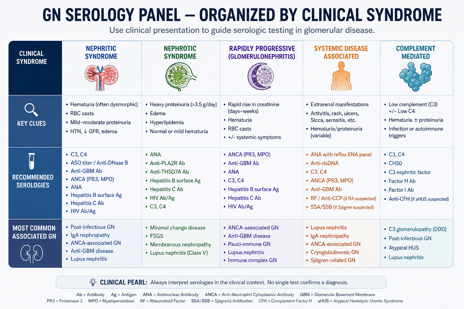GN serology panel organized by clinical syndrome — nephritic, pulmonary-renal, hypocomplementemic, SLE, and IgA vasculitis; first-tier and confirmatory tests per syndrome · williamriveromd.com