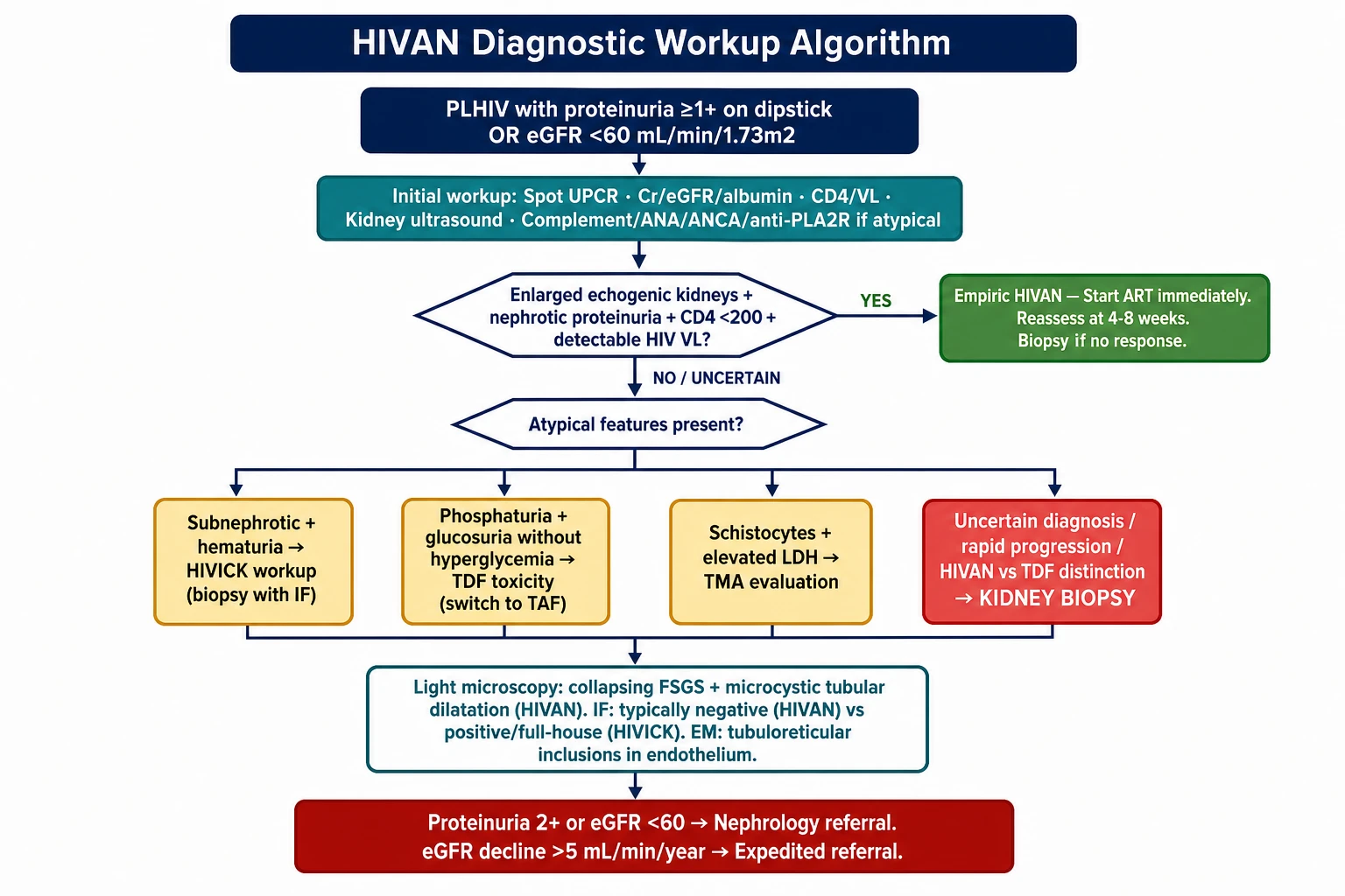HIVAN diagnostic workup algorithm — empiric vs biopsy decision tree