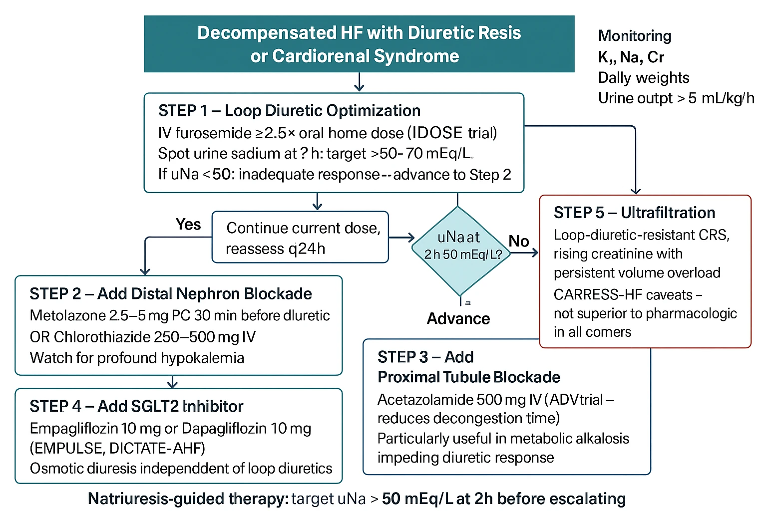 Sequential nephron blockade flowchart for cardiorenal decongestion: Steps 1–6 from IV loop diuretic optimization with urine sodium check at 2h, through acetazolamide, metolazone, SGLT2 inhibitor, to ultrafiltration — with DOSE, ADVOR, CLOROTIC, and EMPULSE trial evidence