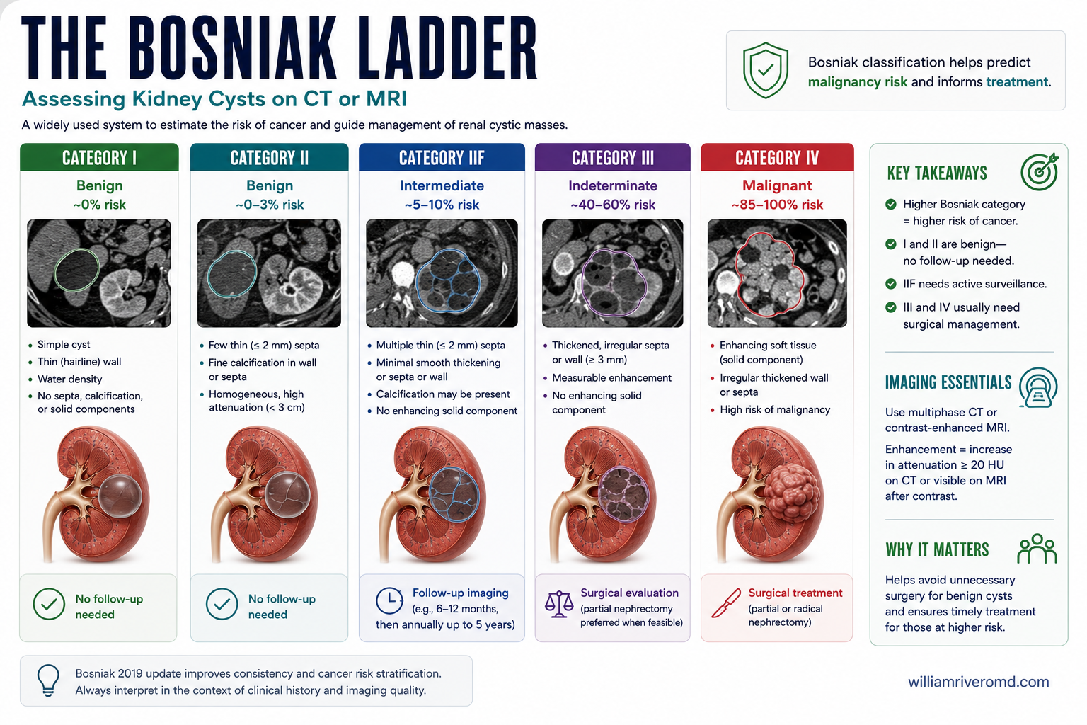 Bosniak classification of cystic kidney masses from category I to IV, with rising malignancy risk and management from no follow-up to treatment