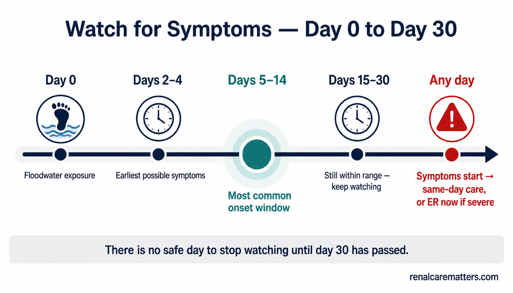 Watch for symptoms from day 0 to day 30 after floodwater exposure. Symptoms most commonly start on days 5 through 14, but any day in the 30-day window can be the day symptoms start — there is no safe day to stop watching.