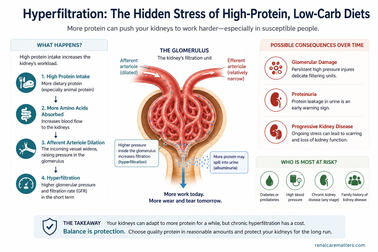 Review-article mechanism schematic: high dietary protein dilates the afferent arteriole, raising single-nephron GFR and intraglomerular pressure, driving albuminuria and glomerulosclerosis in reduced-nephron CKD.