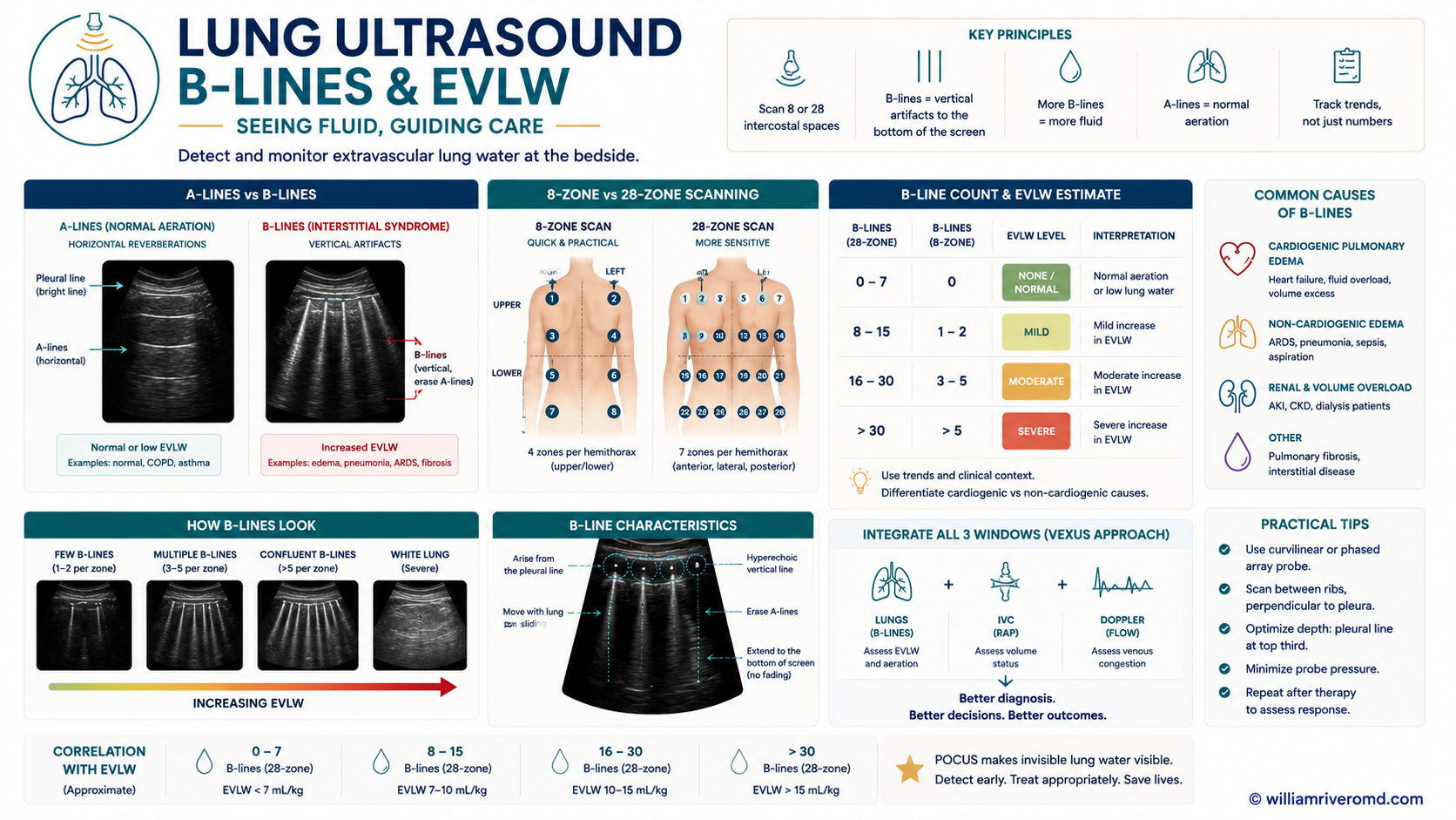 Figure 6 — Lung POCUS. Left half: two grayscale B-mode panels side-by-side showing A-lines (horizontal reverberation, dry aerated lung) vs B-lines (≥ 3 vertical laser-like ring-down lines from the pleura to the screen edge, interstitial fluid). Right half: anterior chest torso with an 8-zone grid (4 zones per hemithorax) plus a small 28-zone reference inset. Bat sign visible on each US panel.