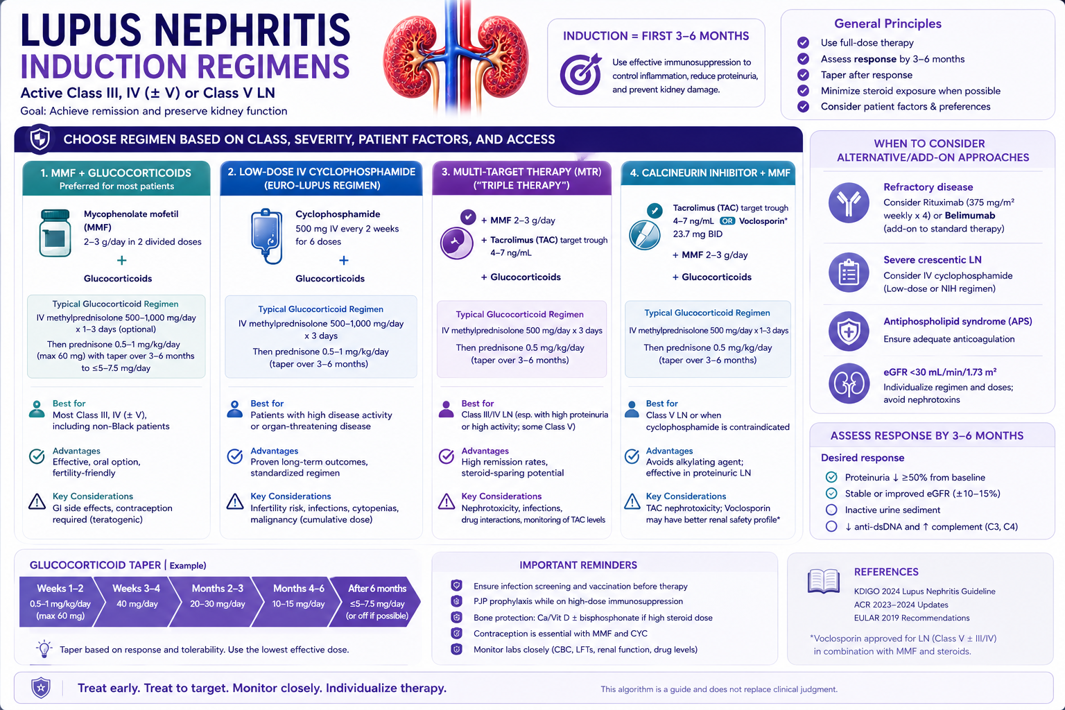 Lupus nephritis induction regimens reference card: class-matched drug regimens with doses, Eurolupus vs NIH cyclophosphamide, and triple therapy criteria