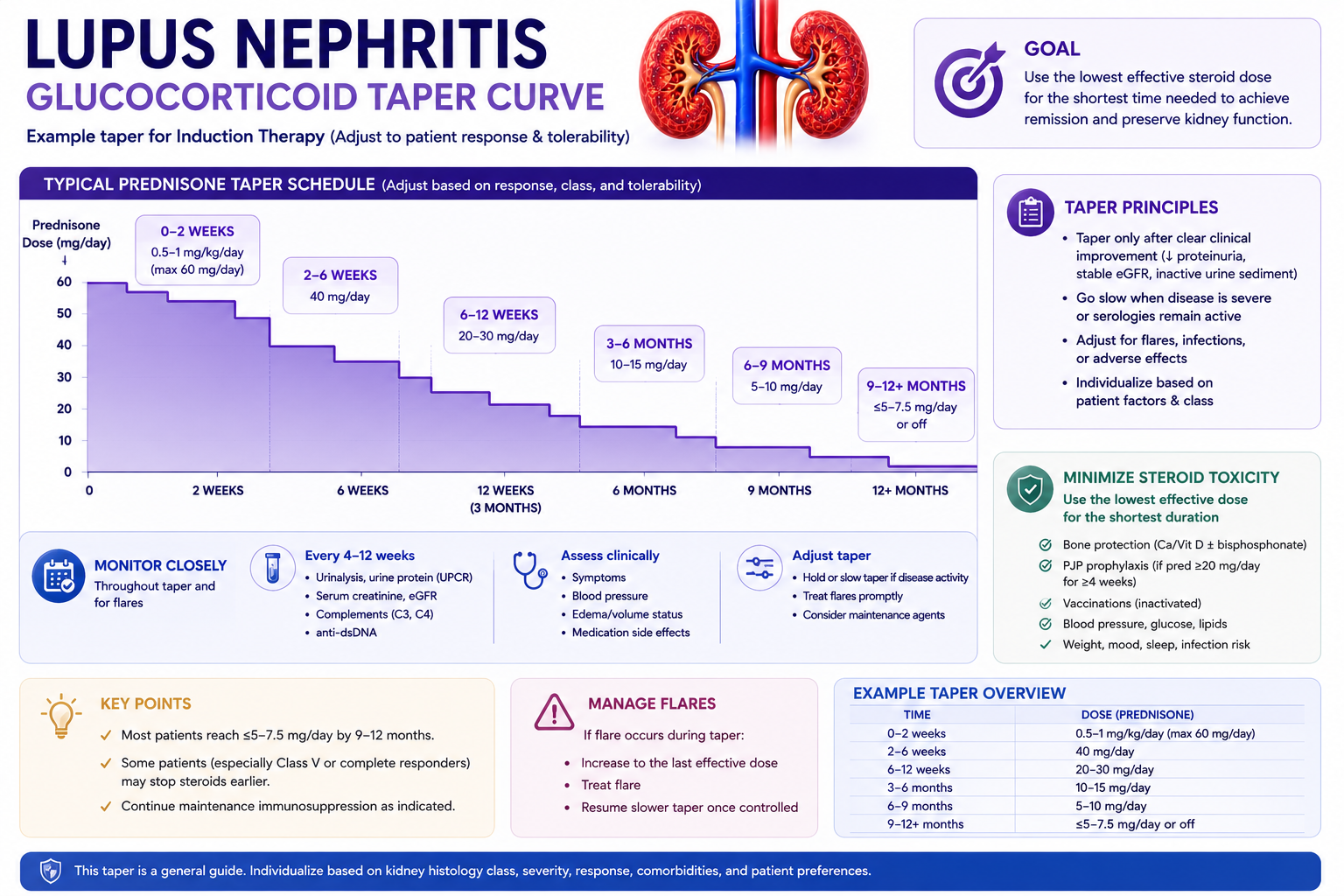 Lupus nephritis steroid taper curve: annotated prednisone dose timeline from pulse IV methylprednisolone through maintenance with KDIGO 2024 milestones