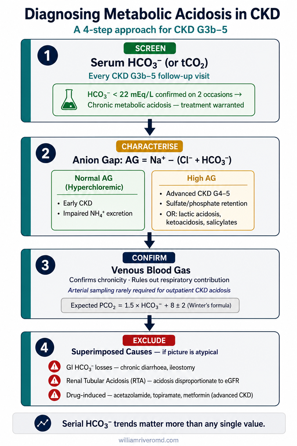 Diagnosing Metabolic Acidosis in CKD — 4-step diagnostic algorithm: screen with HCO₃⁻, calculate anion gap, confirm with venous blood gas, exclude superimposed causes