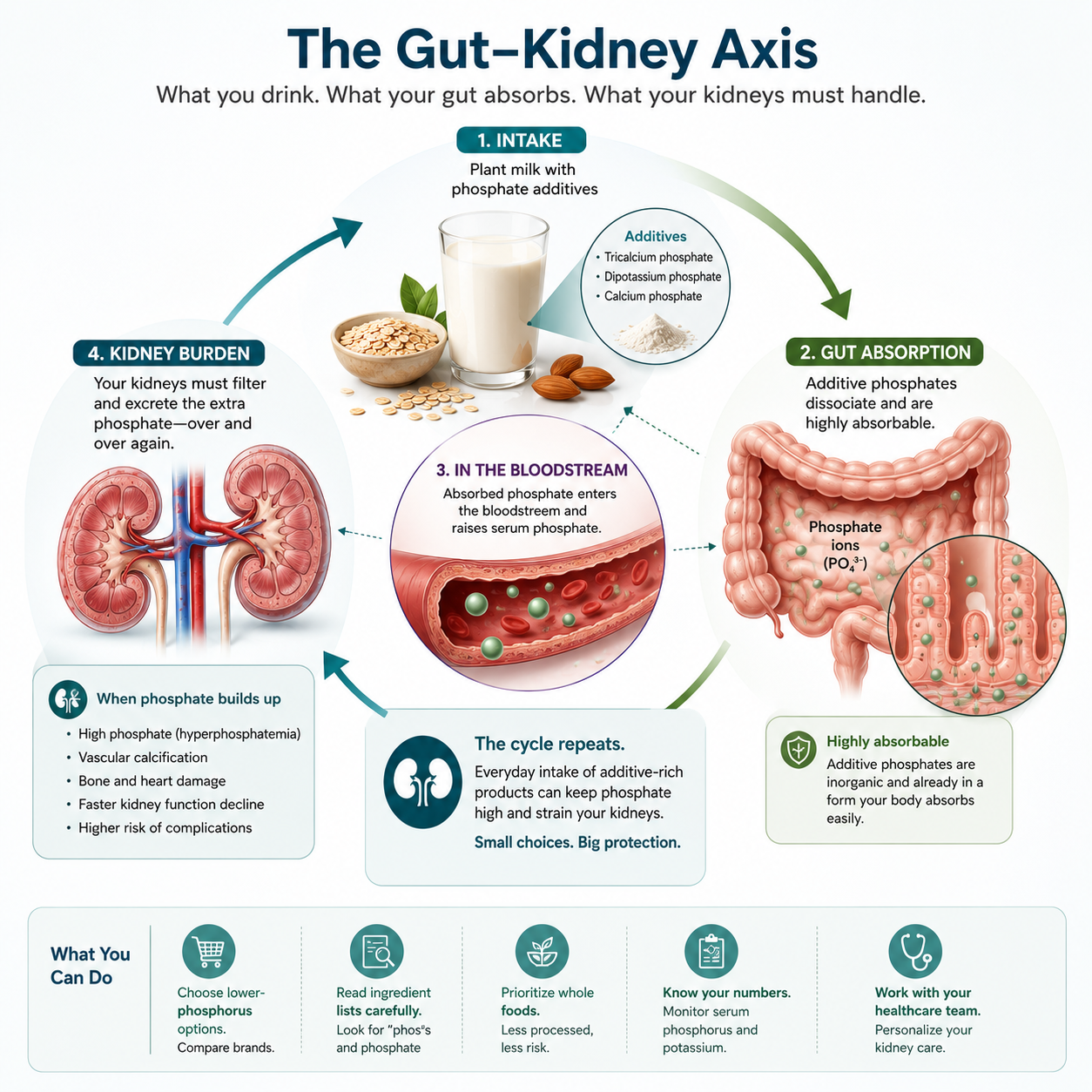 Gut-kidney axis schematic: plant-milk additives such as carrageenan disrupt the intestinal barrier and microbiome, raising gut-derived uremic toxins (indoxyl sulfate, p-cresyl sulfate) that drive vascular inflammation in CKD.