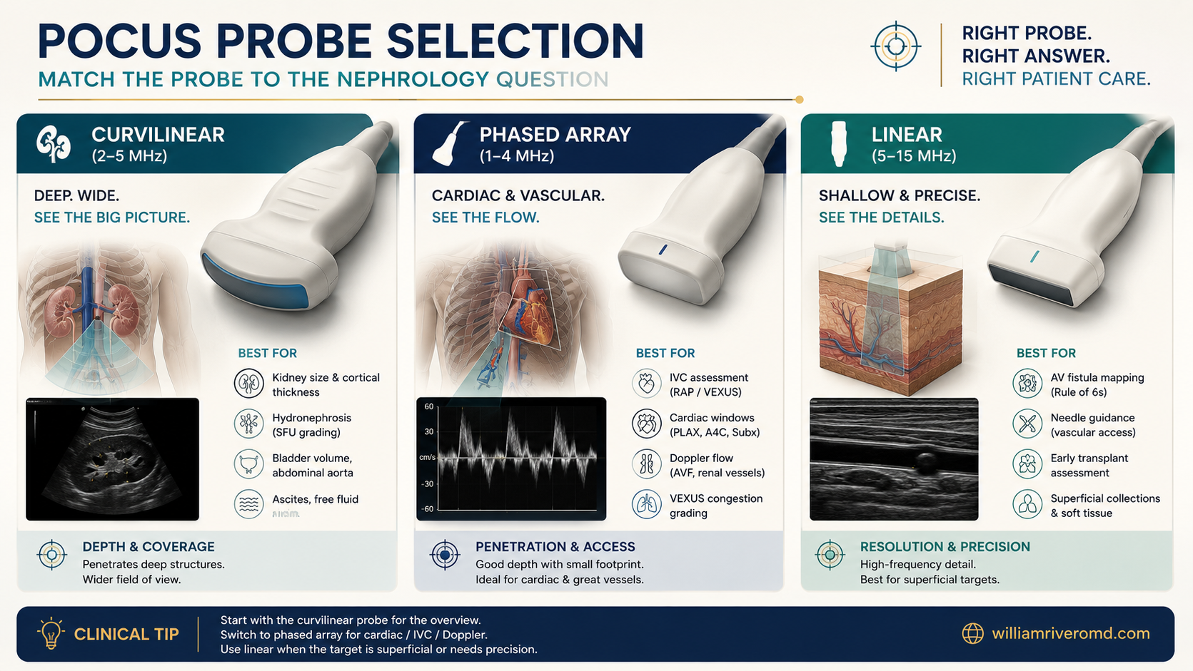Figure 1 — POCUS probe selection. Three transducers (curvilinear 2–5 MHz, phased array 1–5 MHz, linear 7–12 MHz) mapped to their nephrology applications with grayscale B-mode thumbnails per use case, plus a frequency-vs-penetration curve showing kidney/IVC, focused-echo, and AV-access target depths.