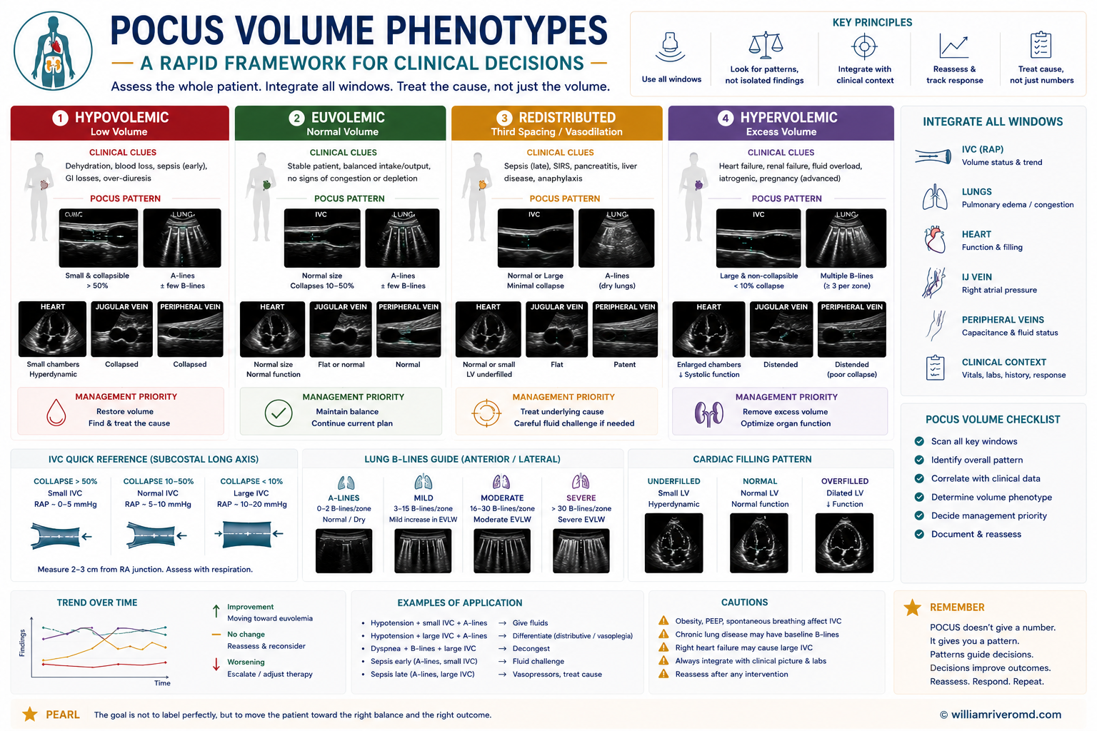 Figure 9 — Integrated POCUS algorithm. Top row: five-point scan strip (kidney/bladder · IVC · lungs · cardiac · VEXUS). Center: five phenotype pathways with POCUS signatures and guideline-anchored actions — congestive nephropathy/CRS (decongest), cardiorenal with pump failure (decongest + neurohormonal), true hypovolemia (volume resuscitate), obstructive/post-renal AKI (decompress first), and tamponade physiology (stat pericardiocentesis).