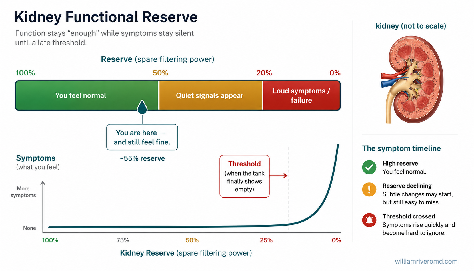 A horizontal gauge running from 100% to 0% kidney reserve, shaded green then amber then red, with a marker at about 55% labeled you are here and still feel fine, and a flat symptom line that only rises steeply near the empty end