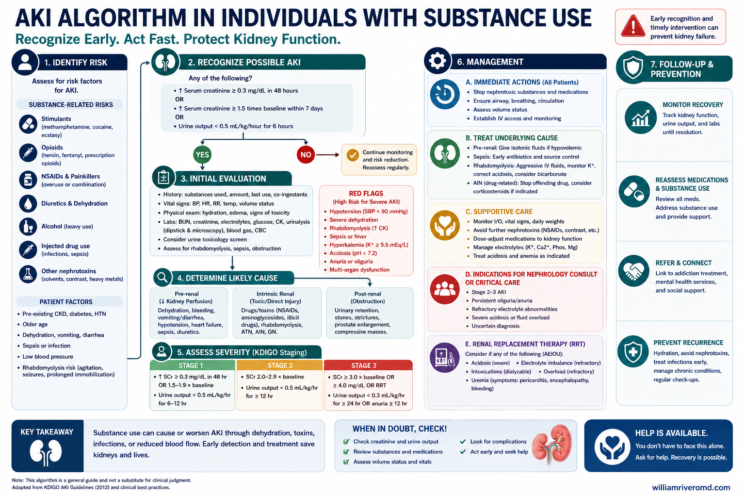 Algorithm: suspected drug-induced acute kidney injury workup.
