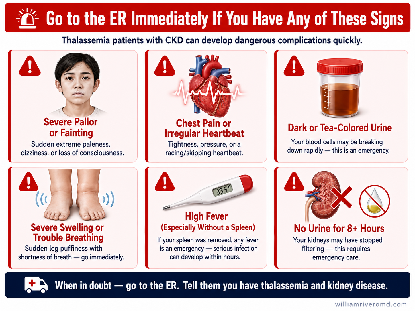 Emergency warning signs infographic: six red-flag panels showing pallor/fainting, chest pain, tea-colored urine, severe swelling, high fever, and no urine output — go to the ER immediately